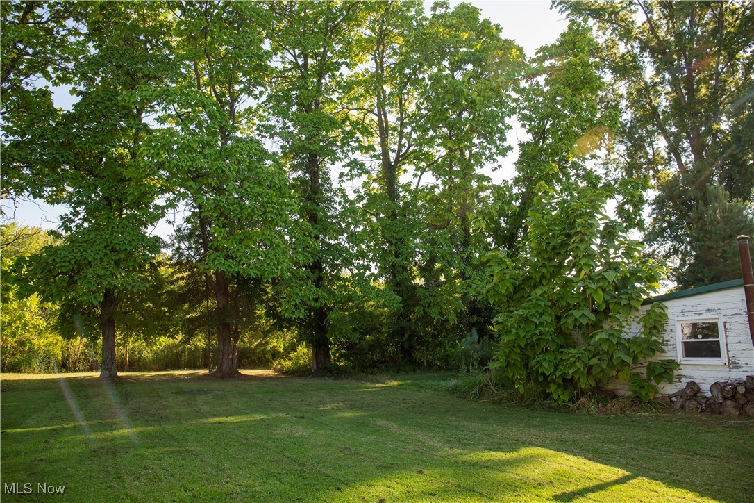 Elmwood - Residential