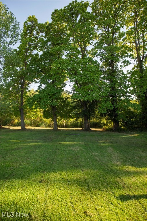 Elmwood - Residential