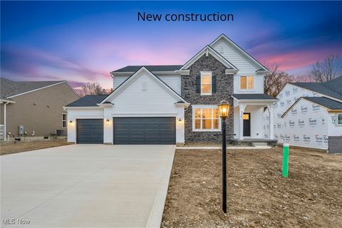 2824 Grayson Drive Medina OH 44256