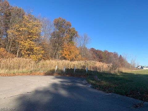 Vacant Land For Sale - 0000 Courtyard Drive<br/> Lorain, OH 44053