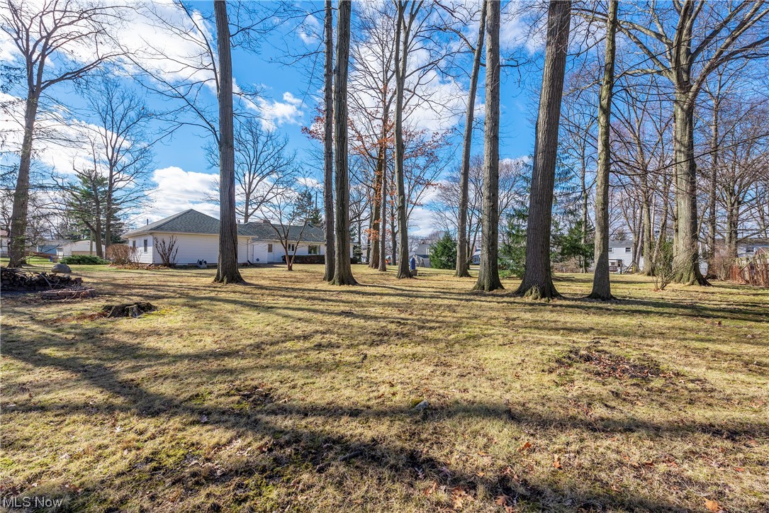 Lions Park - Residential