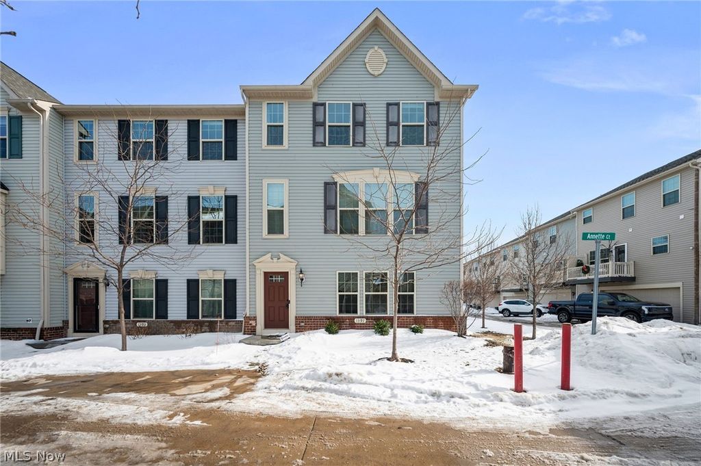 Photo of 1397 Annette Court, Lakewood, OH 44107 (MLS # 5185431)