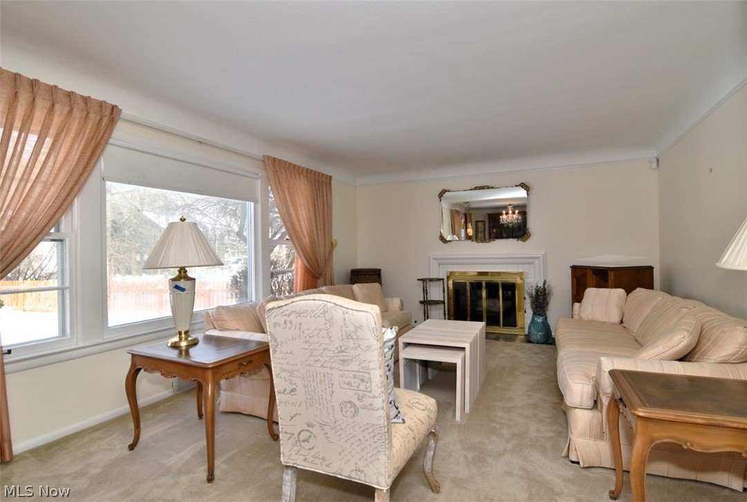 Forest Hill 10 - Residential