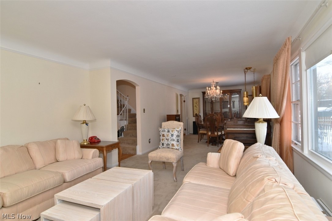 Forest Hill 10 - Residential