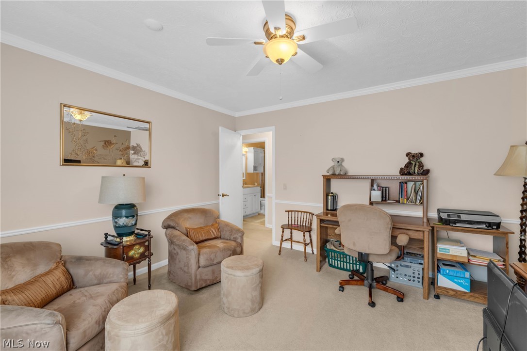 Meadow - Residential