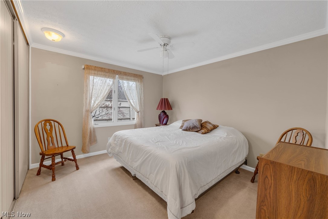 Meadow - Residential