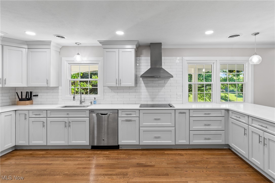 Hillfield Allotment 01 - Residential