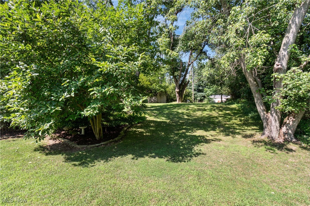 Hillfield Allotment 01 - Residential