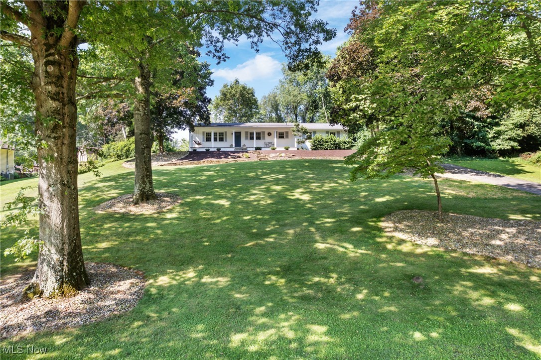 Hillfield Allotment 01 - Residential