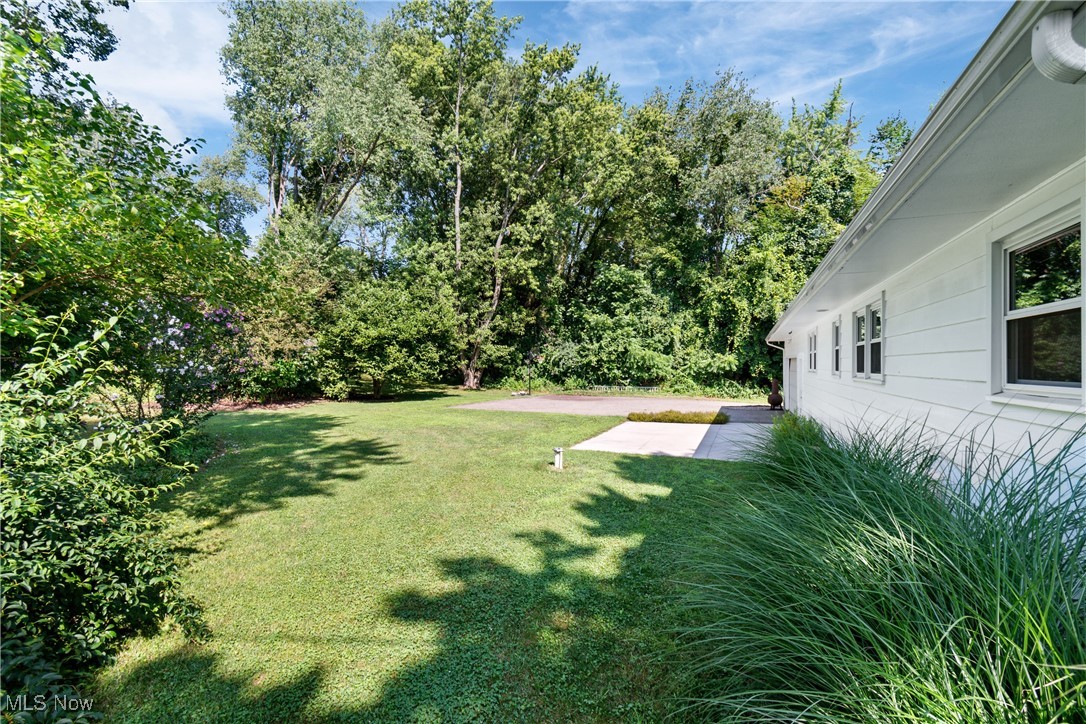 Hillfield Allotment 01 - Residential