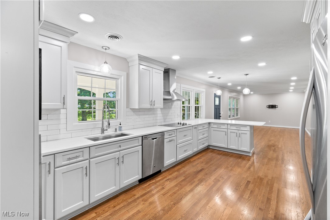 Hillfield Allotment 01 - Residential