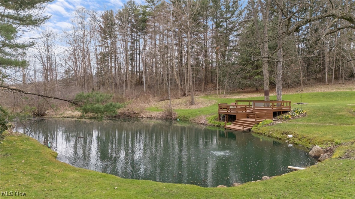 10729 Allen Drive, Chardon, Ohio image 42