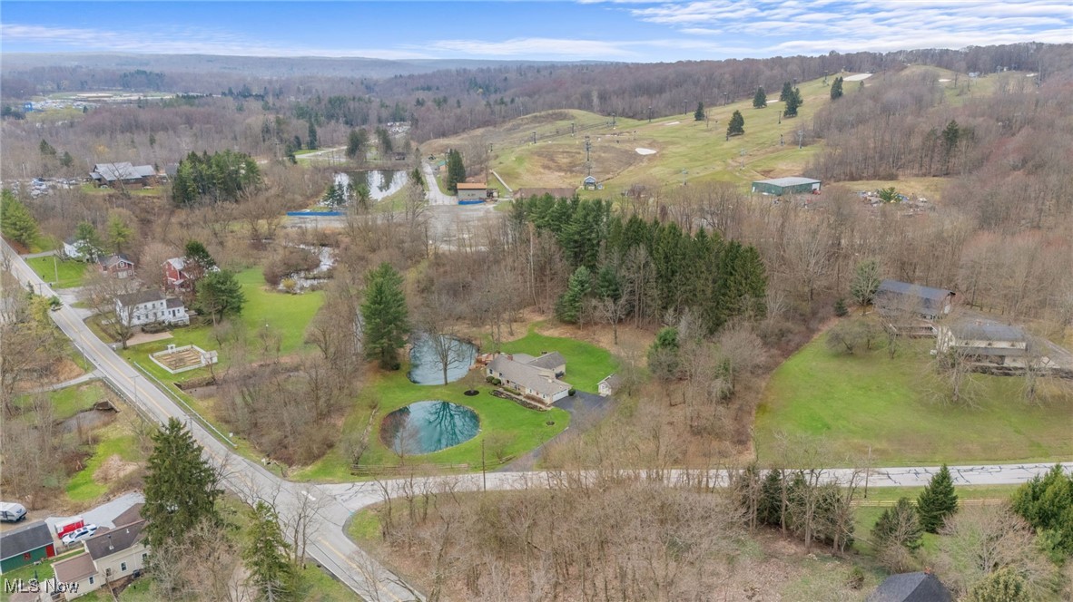10729 Allen Drive, Chardon, Ohio image 44