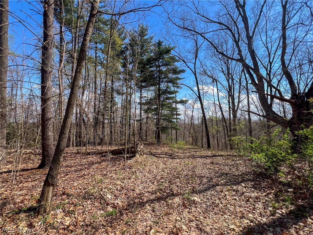 Pumpkin Ridge Rd, Barnesville, Ohio image 4