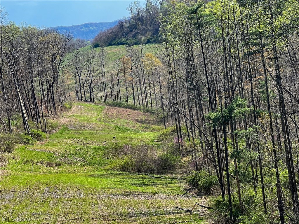 Pumpkin Ridge Rd, Barnesville, Ohio image 1