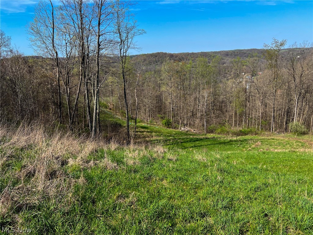 Pumpkin Ridge Rd, Barnesville, Ohio image 26