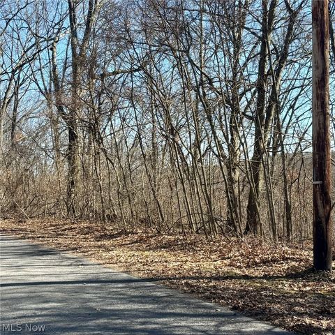 Tiny photo for 48065 S Yuma Cove, Negley, OH 44441 (MLS # 5190427)