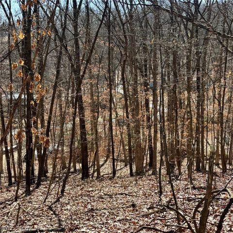 Tiny photo for 48065 S Yuma Cove, Negley, OH 44441 (MLS # 5190427)