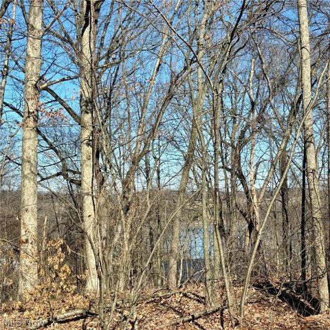 Tiny photo for 48065 S Yuma Cove, Negley, OH 44441 (MLS # 5190427)