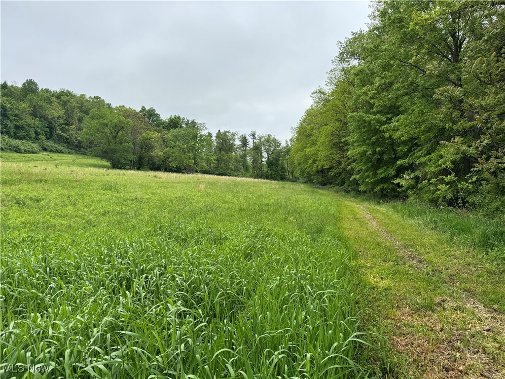 E Jackson Street, Millersburg, Ohio image 3