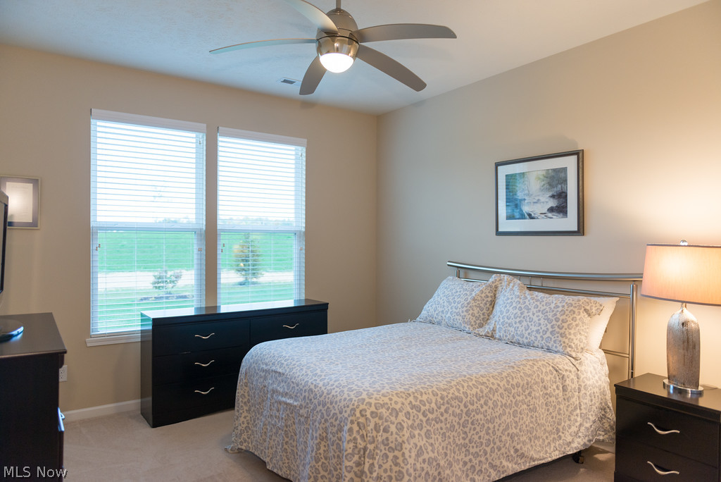 Pioneer Ridge  - Del Webb - Residential