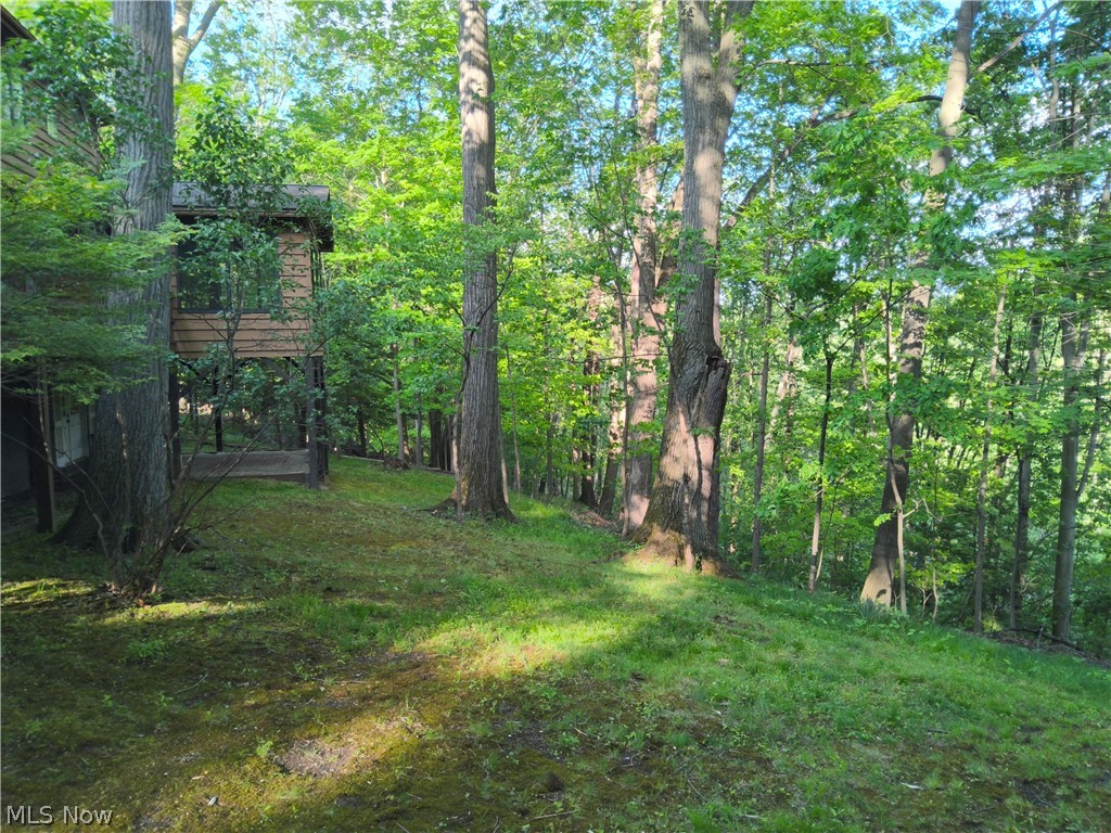 35970 Timber Ridge Lane