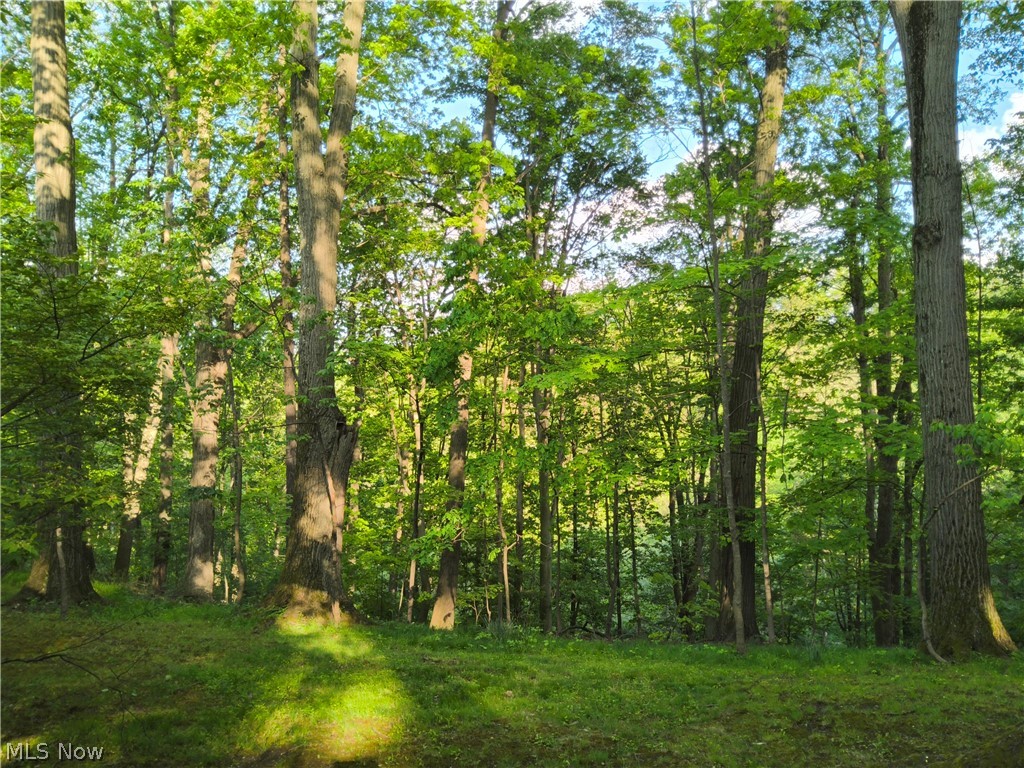 Timber Ridge Estates Sub - Residential