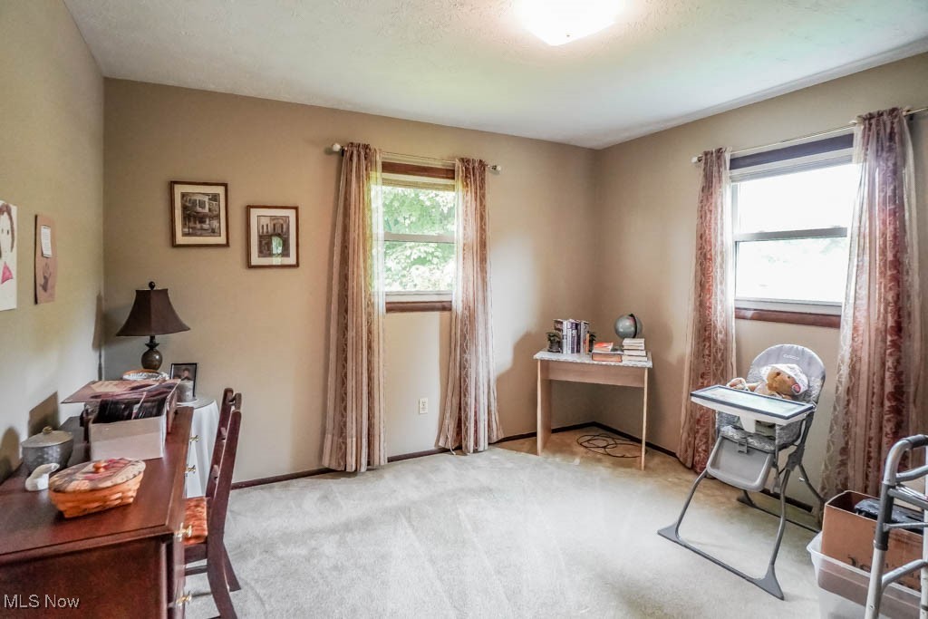 339 Lori Avenue, Massillon, Ohio image 12