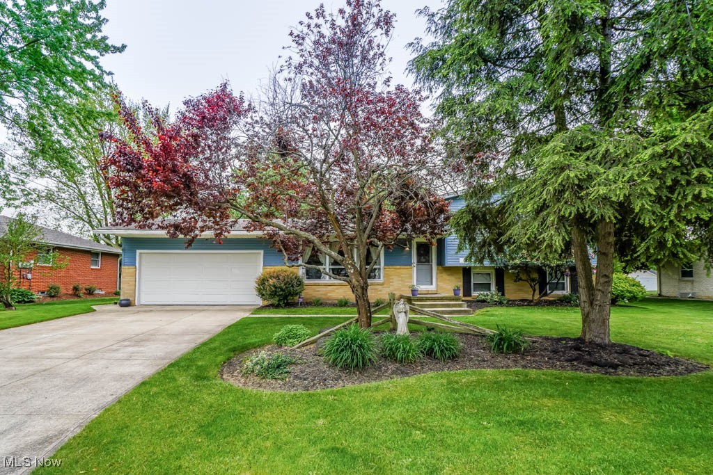 339 Lori Avenue, Massillon, Ohio image 36