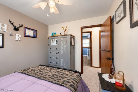 Tiny photo for 171 Fair Meadow Drive, Austintown, OH 44515 (MLS # 5255664)