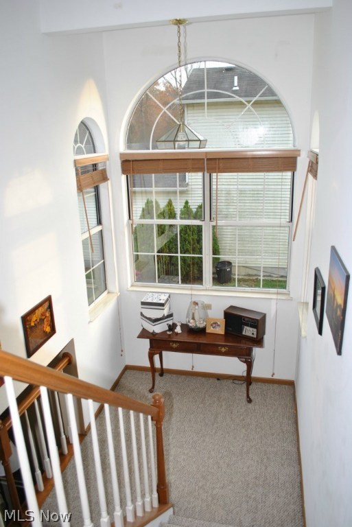 Lane Park - Residential