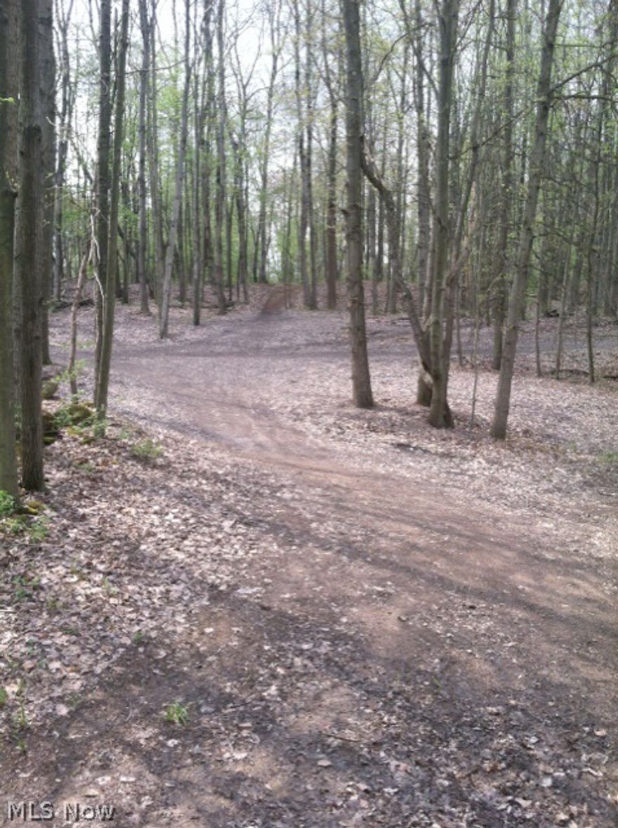 Absolute Auction Thursday June 18, 2015 @ 6:00 PM Real Estate: Absolute auction – 7.8 acres located inside Dover Corporation – Zoned R-2 – excellent home site or development potential  - amazing views overlooking the entire city of Dover – a truly unique offering in one of the most vastly developing areas in the Dover area – Tusc. Co. Parcel No. 15-05502-001.

Parcel One: 1.3 acres with +/-215’ of road frontage along Ohio Ave.

Parcel Two: 6.5 acres with +/-70’ of road frontage on Ohio Ave. – scenic hilltop acres.

Terms: 10% non refundable deposit down per parcel day of auction – balance due upon delivery of deed. Property will be offered bidders choice per acre per parcel then offered as a whole for one lump sum bid and sold whichever way merits the seller the most. Sells to high bid at absolute auction. Sells with no financing contingencies. Any required inspections must be completed prior to bidding. All information contained herein is derived from sources deemed reliable but