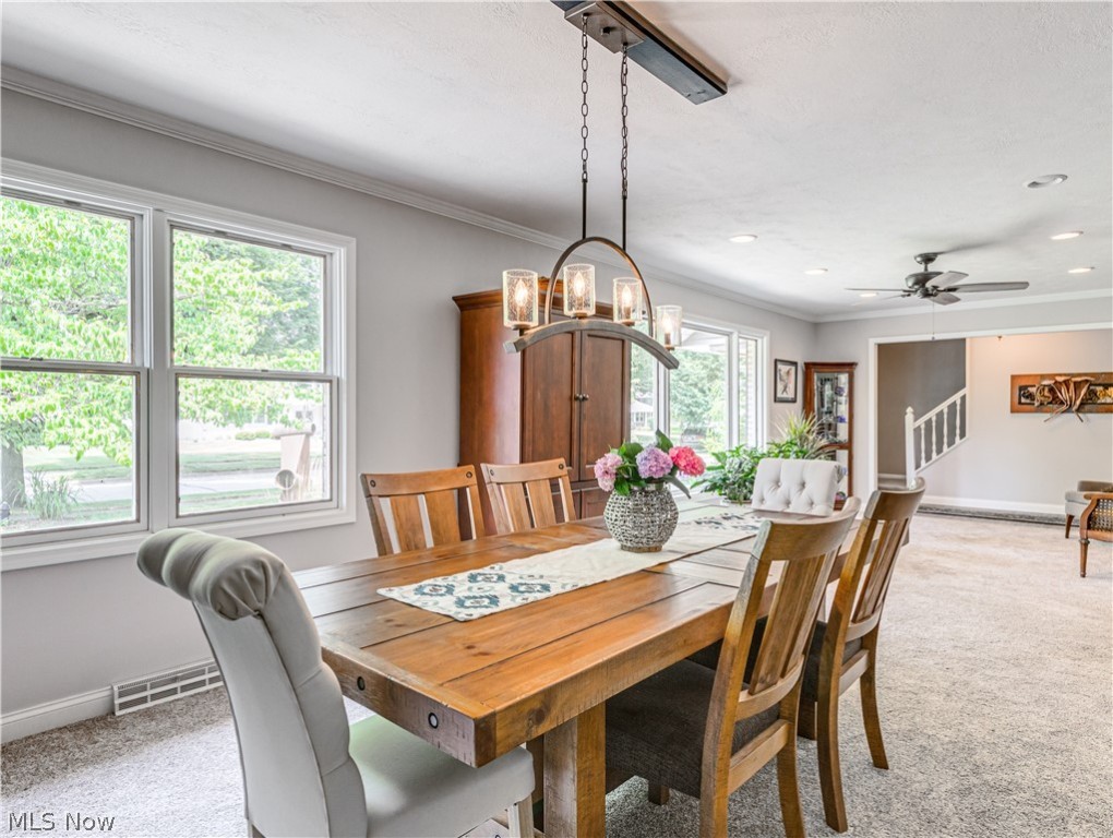 Merriman Hills Allotment - Residential