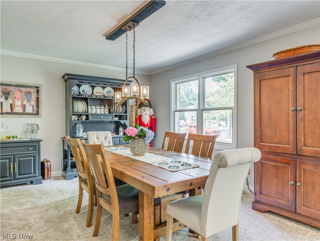 Merriman Hills Allotment - Residential