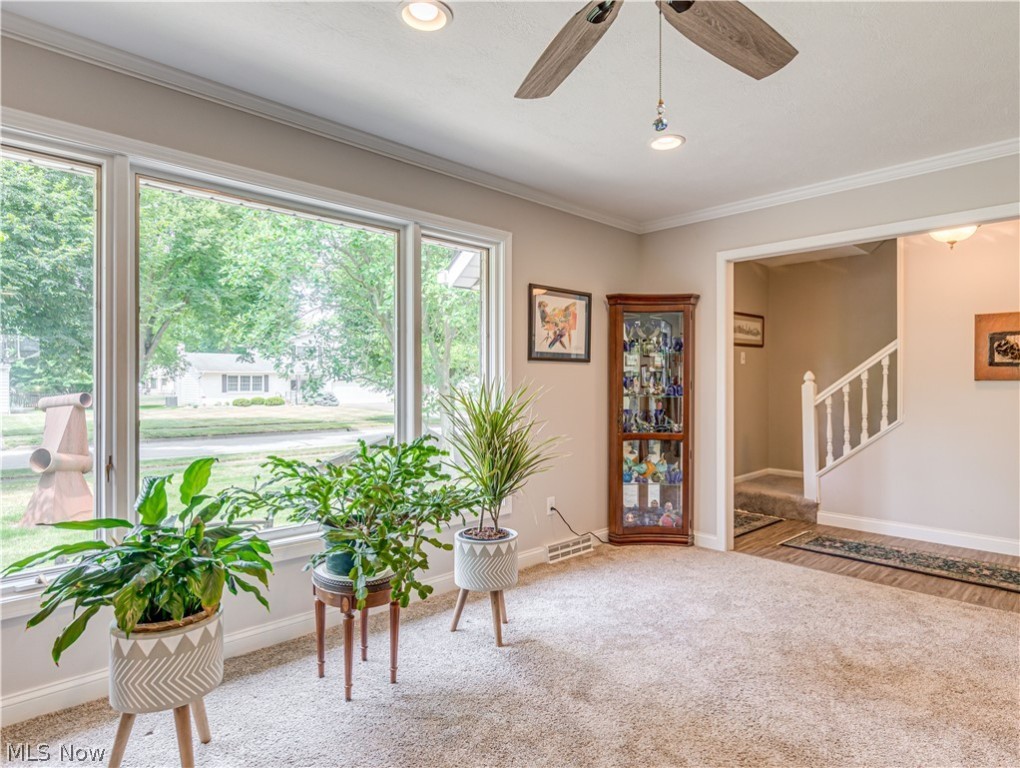 Merriman Hills Allotment - Residential