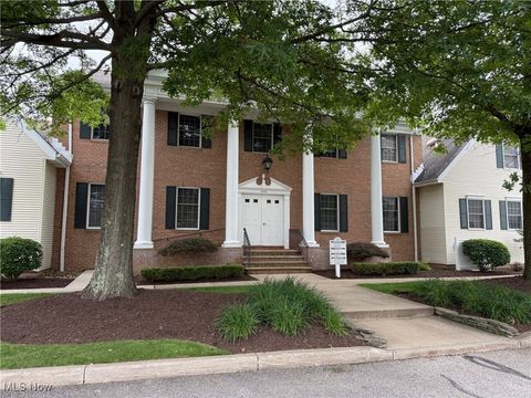 255 Park Place Chagrin Falls OH 44022