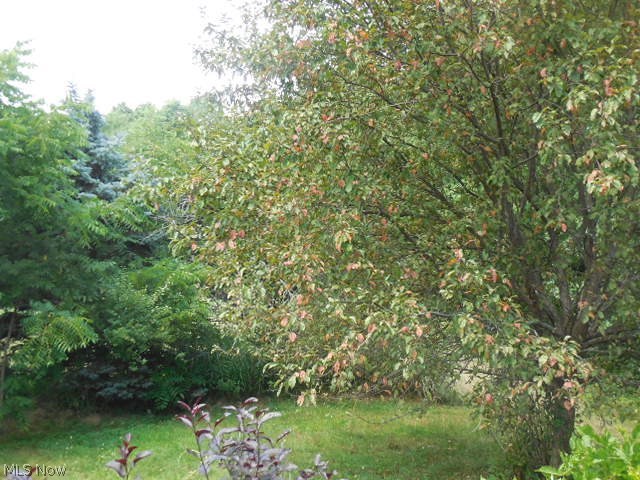 William L Swigart Farm - Residential