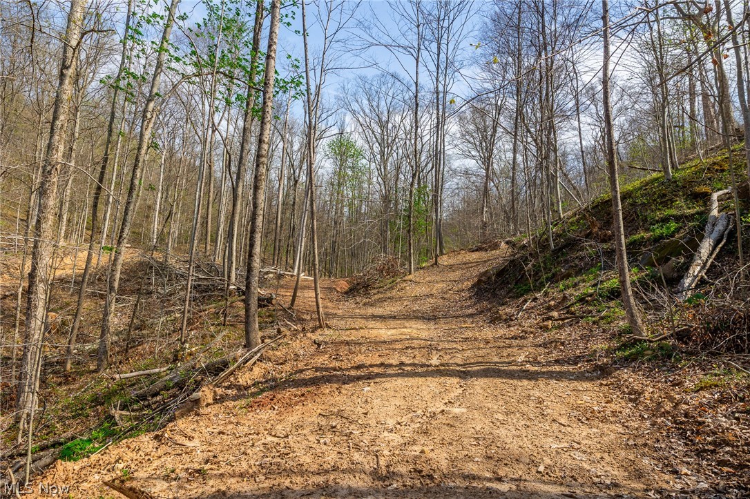 0 Twp Rd 63 Deans Fork Rd 5