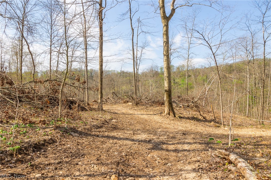 0 Twp Rd 63 Deans Fork Rd 5