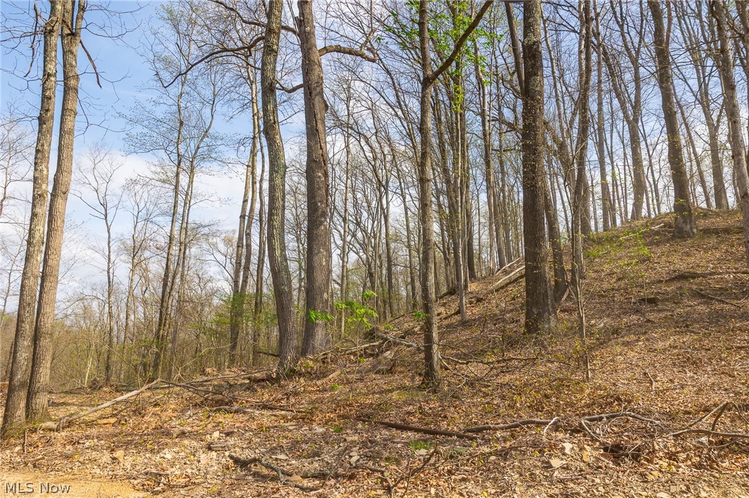 0 Twp Rd 63 Deans Fork Rd 5