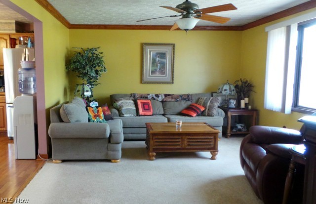 Rocking Bar S Estates - Residential