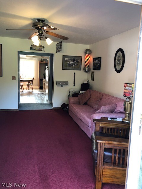 Ridgeville - Residential