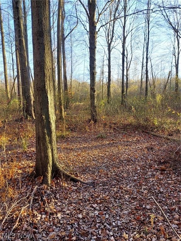 Madison-On -The-Lake - Land