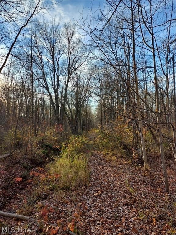 Madison-On -The-Lake - Land