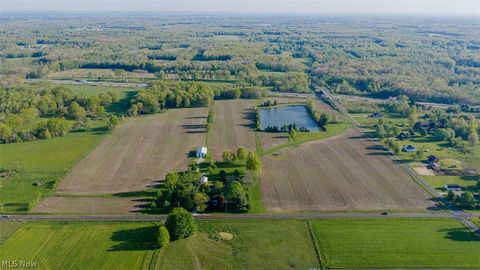 Photo of 9865 Tallmadge Road, Diamond, OH 44412 (MLS # 5210228)