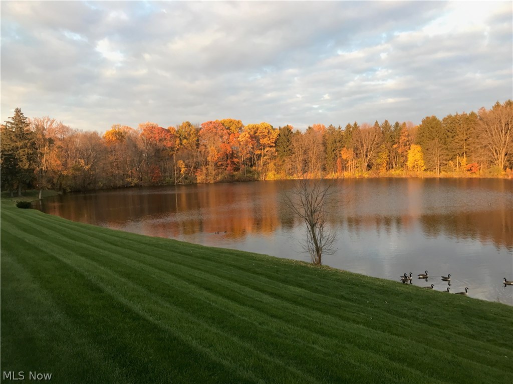 Brittany Commons Condo - Residential