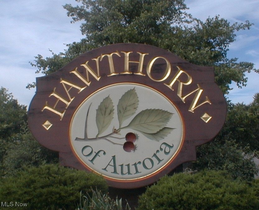 845 Stone Hill Oval, Aurora, Ohio image 44