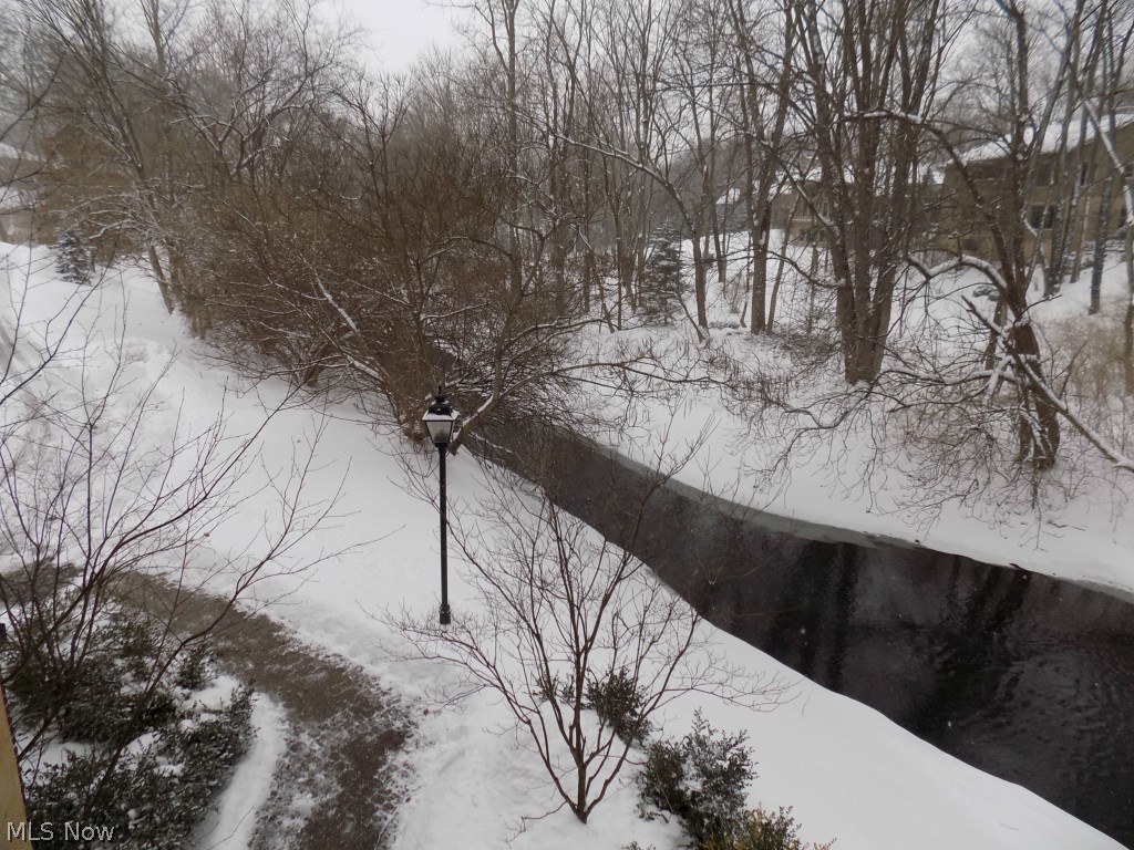 Corazon Condos - Residential