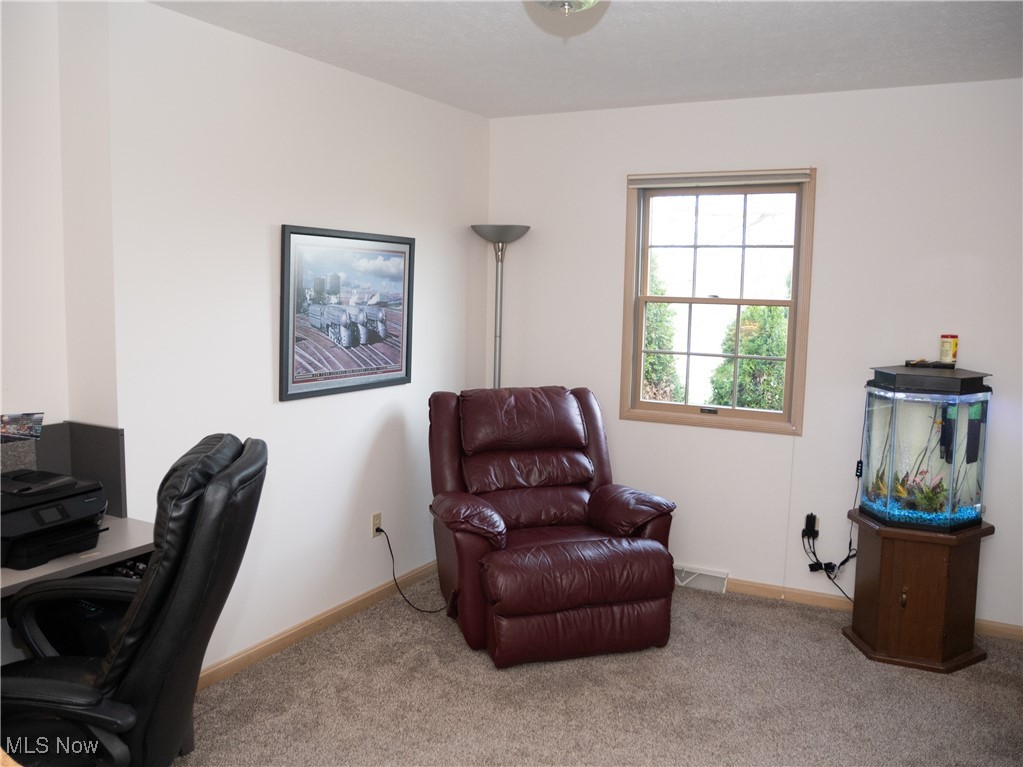 5481 Walnut Grove Circle, Struthers, Ohio image 18