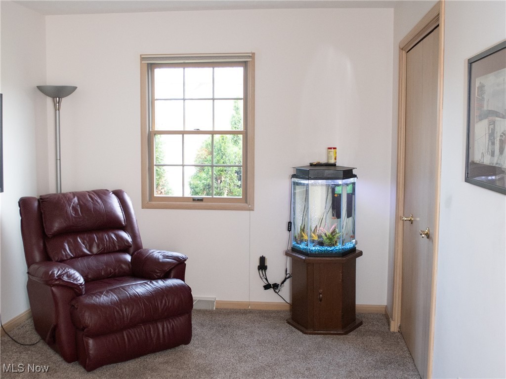 5481 Walnut Grove Circle, Struthers, Ohio image 19